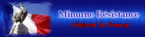 minurne-300x78