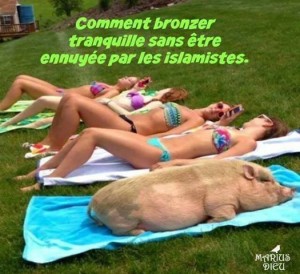 Cochon au soleil