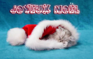 Joyeux Noël