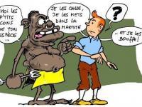 L’AVENIR DE L’ÉCOLOGIE N’EST PAS LA TRANSITION ÉCOLOGIQUE MAIS LA DÉMOGRAPHIE (L’Imprécateur)