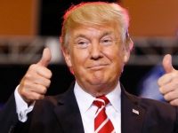 TRUMP GAGNE LES ELECTIONS US A MI-MANDAT (L’Imprécateur)