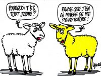GILETS JAUNES : BIZARRE ACTE VIII (L’Imprécateur)
