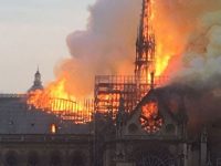 NOTRE DAME BRULE… LA HAINE ARABE PREND FEU ! (Suricate)