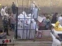 INOFFENSIF, L’ISLAM ? (L’Imprécateur)
