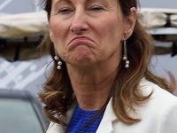 A QUOI SERT SEGOLENE ROYAL ? (Suricate)