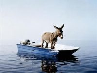 INCOMPETENCE des POLITIQUES (1) (L’Imprécateur)