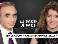 LETTRE A MARLENE SCHIAPPA (Julien Havasi)