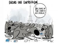 Rat-Got ou Rat-Contar ? (Cédric de Valfrancisque)