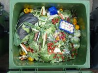TRIBUNE : STOP AU GASPILLAGE ALIMENTAIRE ! (Arash Derambarsh)