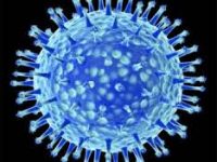 MUTATIONS VIRALES (L’Imprécateur)