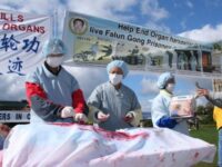 ONU : SOMMET MONDIAL POUR L’ABOLITION DU PRÉLÈVEMENT FORCÉ D’ORGANES (L’Imprécateur)