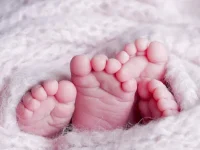 GÉNOCIDE PAR DÉNATALITÉ (L’Imprécateur)