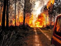 ÉCOLOGISTES ? ET INCENDIAIRES, AVEC ÇA ! (L’Imprécateur)