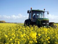 NE TOUCHEZ PAS À NOTRE AGRICULTURE ! (L’Imprécateur)