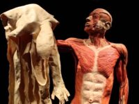 FAUT-IL TRANSFORMER LES CADAVRES EN CROQUETTES ? (L’imprécateur)