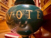 EN ATTENDANT LA DÉCISION DU CONSEIL CONSTITUTIONNEL (Sébastien Meurant)