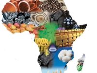 UNE AFRIQUE EN ÉBULLITION (Patrick Becquerelle)