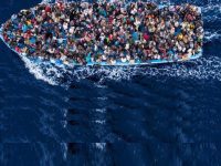 IMMIGRATION DE PEUPLEMENT (Cédric de Valfrancisque)
